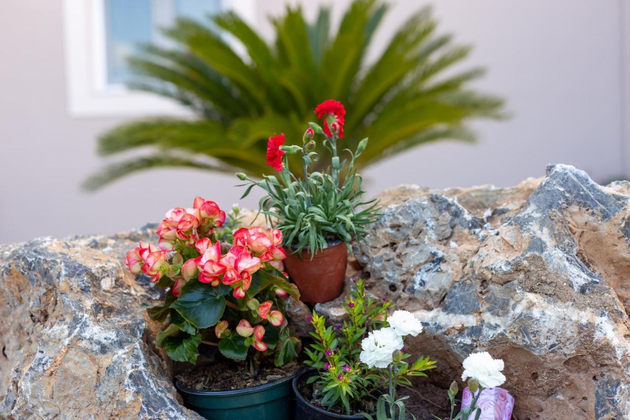 Nightingale Villa & Suites Corfu Gazátika Exterior photo
